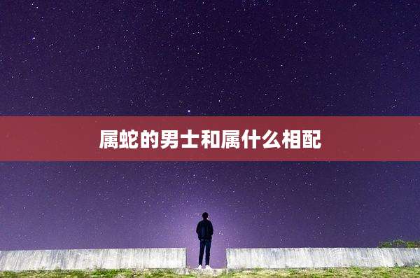 属蛇的男士和属什么相配