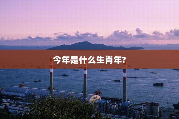 今年是什么生肖年?
