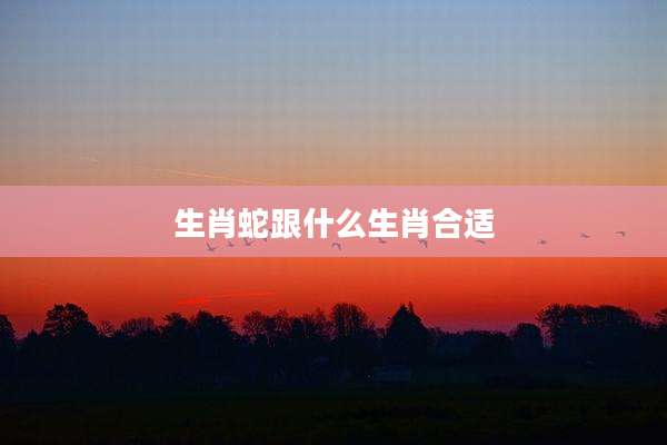 生肖蛇跟什么生肖合适