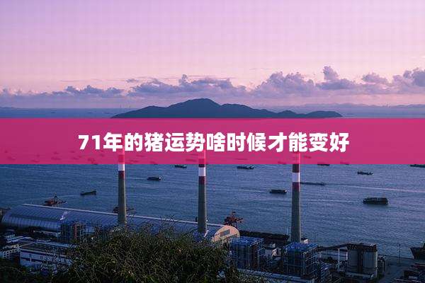 71年的猪运势啥时候才能变好