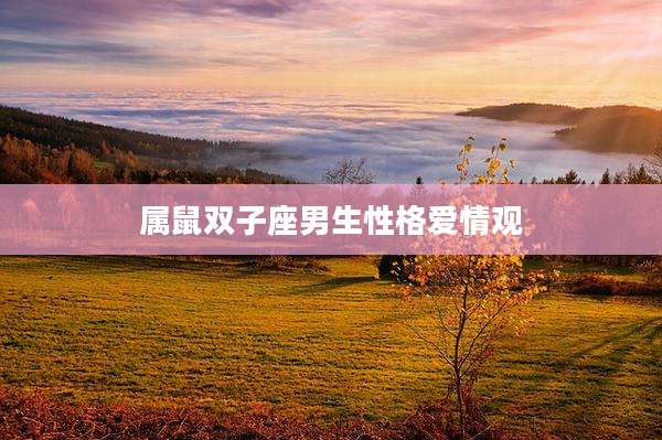 属鼠双子座男生性格爱情观