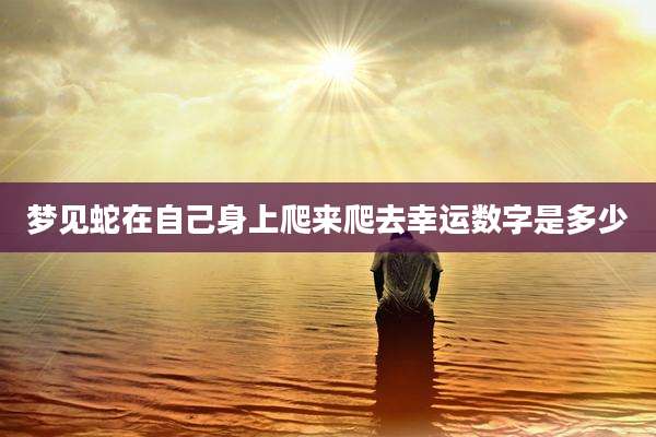 梦见蛇在自己身上爬来爬去幸运数字是多少
