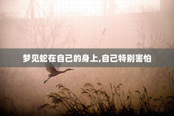梦见蛇在自己的身上,自己特别害怕