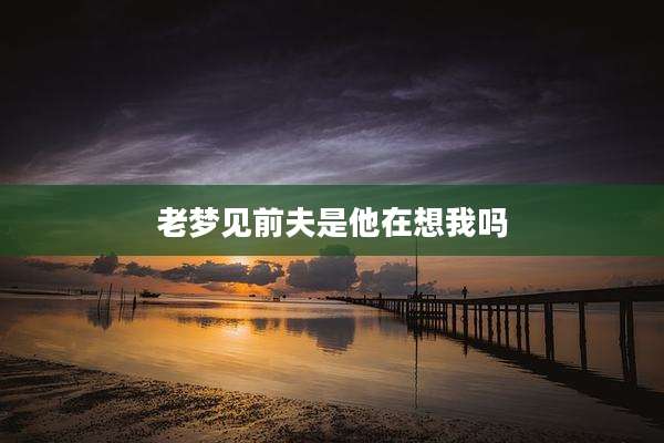 老梦见前夫是他在想我吗