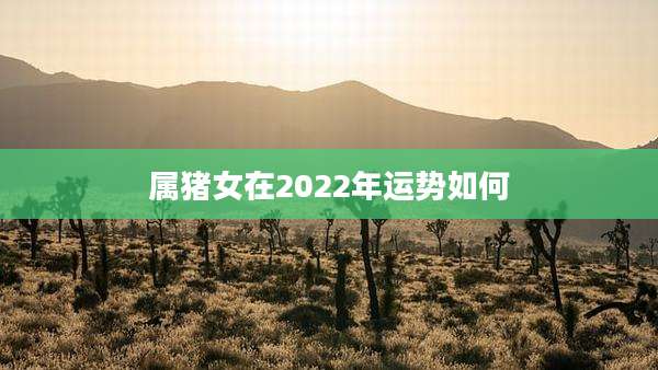 属猪女在2022年运势如何