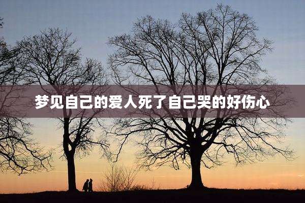 梦见自己的爱人死了自己哭的好伤心