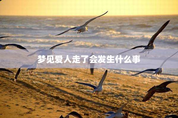 梦见爱人走了会发生什么事