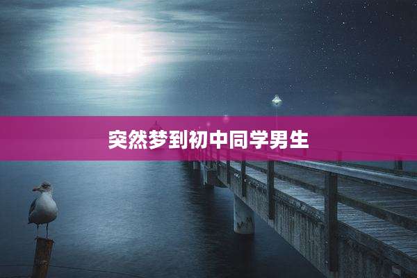 突然梦到初中同学男生