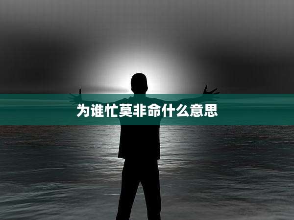 为谁忙莫非命什么意思