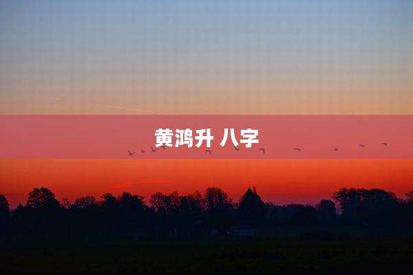 黄鸿升 八字