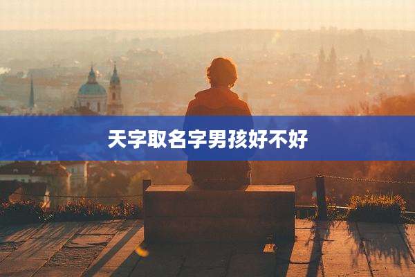 天字取名字男孩好不好