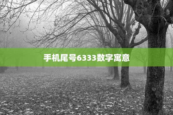 手机尾号6333数字寓意