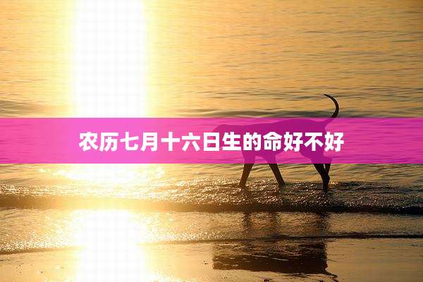 农历七月十六日生的命好不好