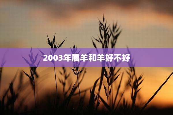 2003年属羊和羊好不好