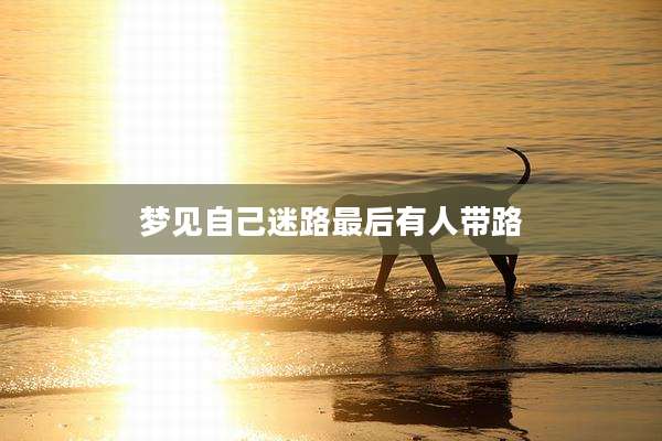 梦见自己迷路最后有人带路