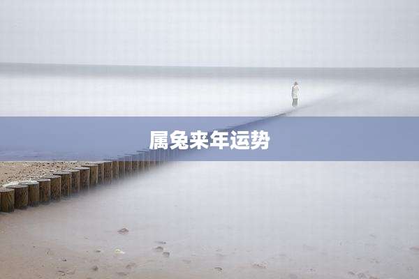 属兔来年运势