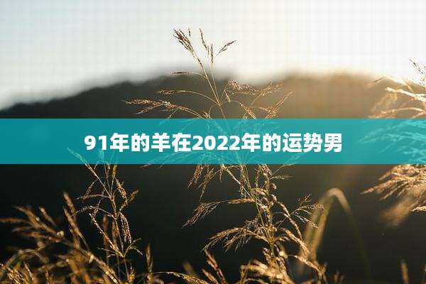 91年的羊在2022年的运势男