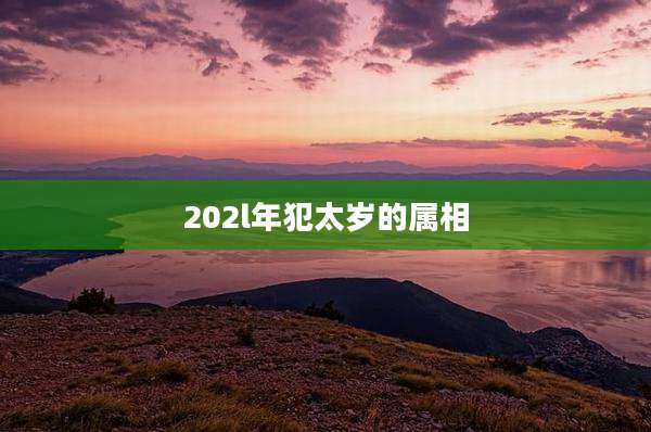 202l年犯太岁的属相