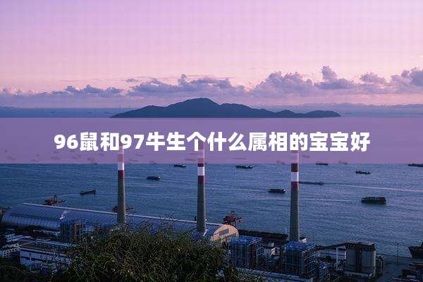 96鼠和97牛生个什么属相的宝宝好