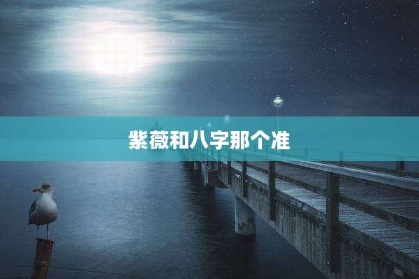 紫薇和八字那个准