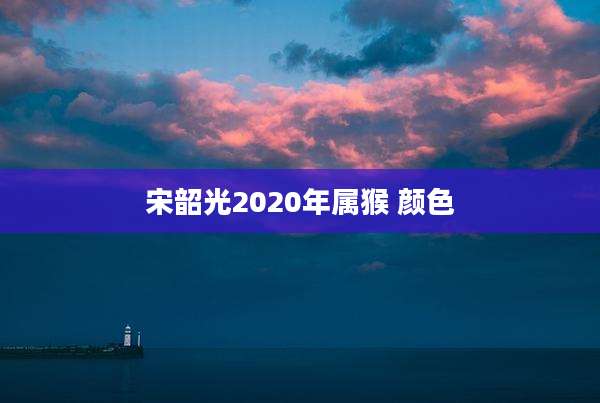 宋韶光2020年属猴 颜色