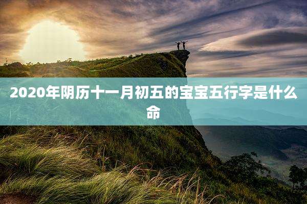 2020年阴历十一月初五的宝宝五行字是什么命