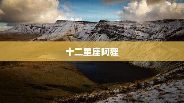 十二星座阿狸