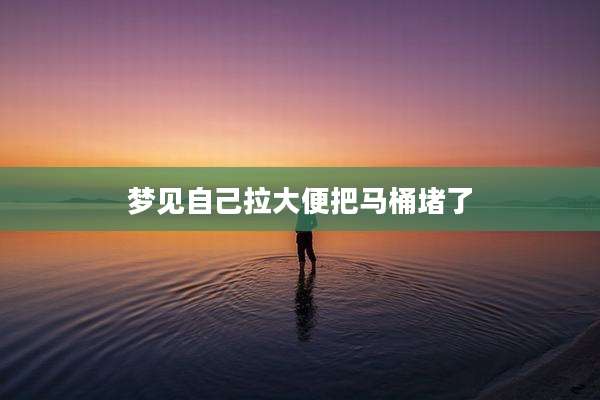 梦见自己拉大便把马桶堵了
