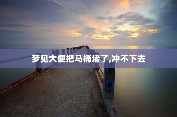 梦见大便把马桶堵了,冲不下去