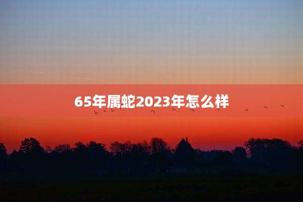 65年属蛇2023年怎么样