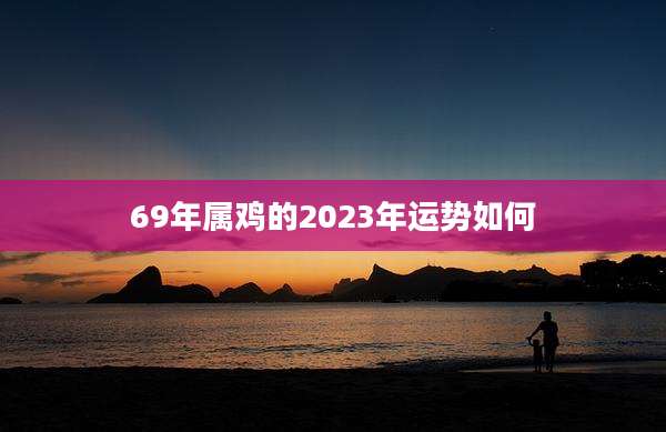69年属鸡的2023年运势如何