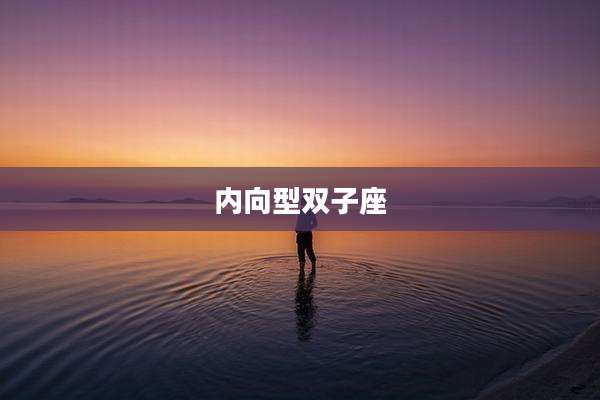 内向型双子座