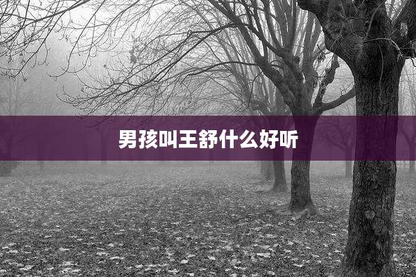 男孩叫王舒什么好听