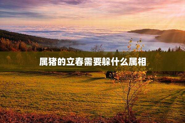 属猪的立春需要躲什么属相