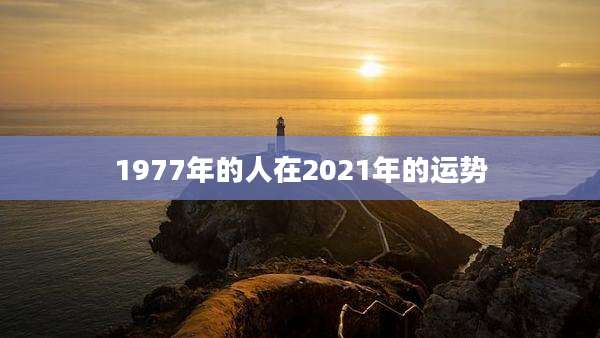 1977年的人在2021年的运势