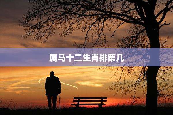 属马十二生肖排第几
