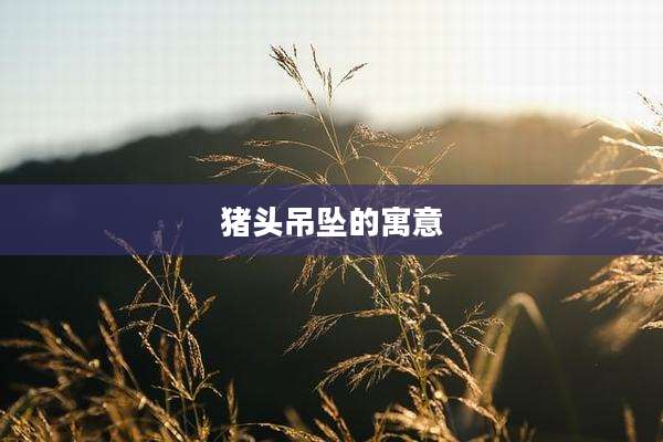 猪头吊坠的寓意