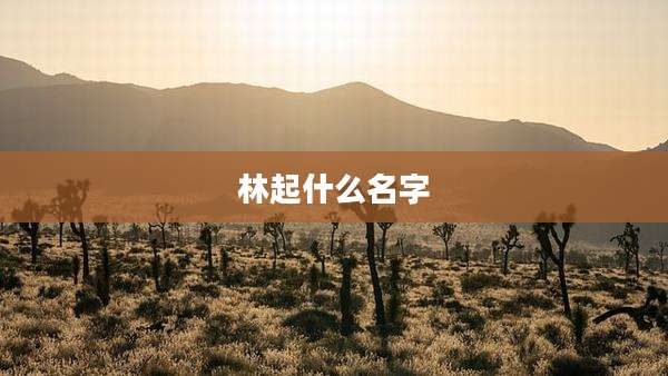 林起什么名字
