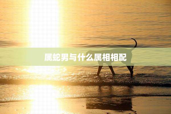 属蛇男与什么属相相配
