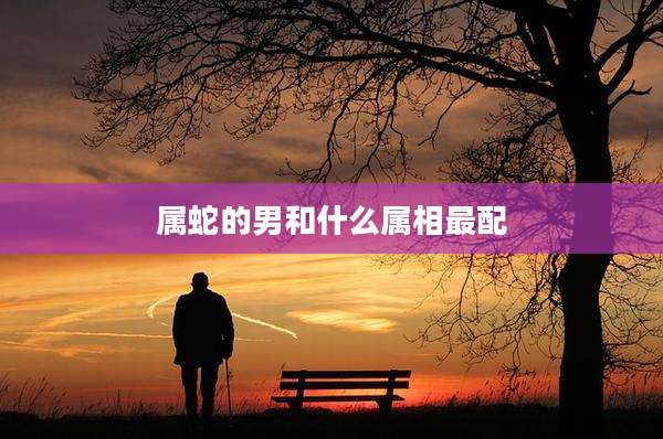 属蛇的男和什么属相最配