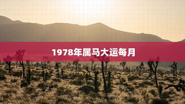 1978年属马大运每月