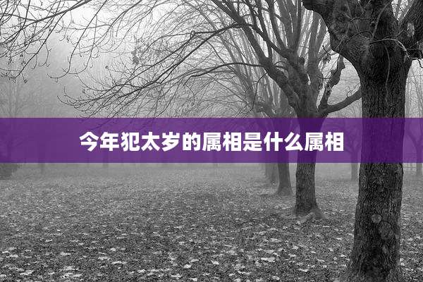 今年犯太岁的属相是什么属相
