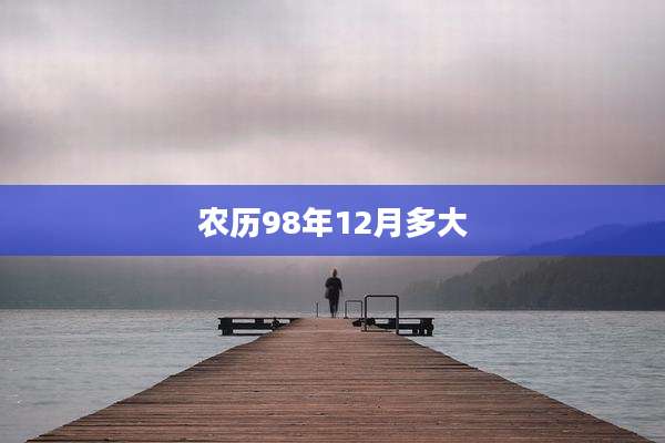 农历98年12月多大