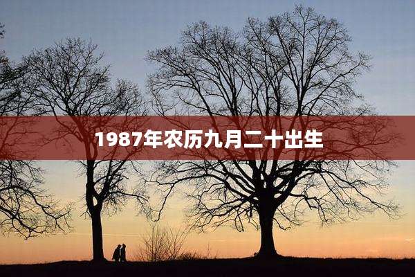 1987年农历九月二十出生