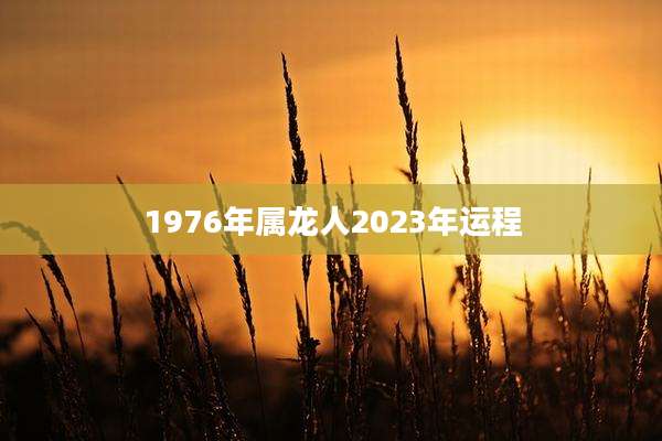 1976年属龙人2023年运程