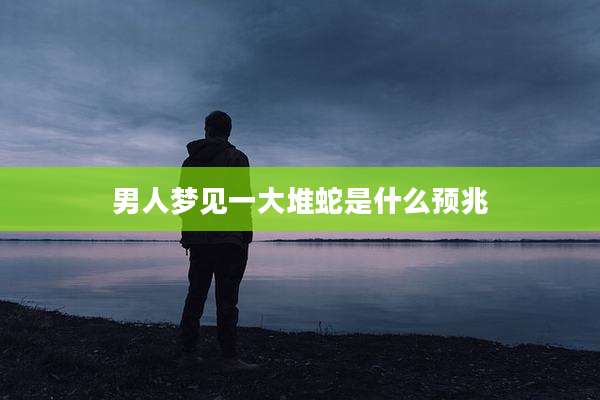 男人梦见一大堆蛇是什么预兆