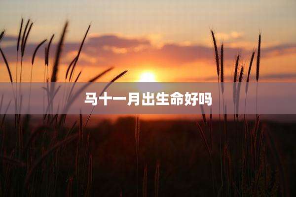 马十一月出生命好吗