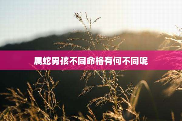 属蛇男孩不同命格有何不同呢