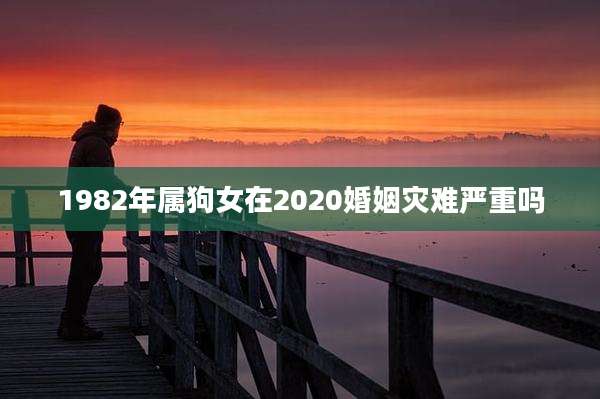 1982年属狗女在2020婚姻灾难严重吗