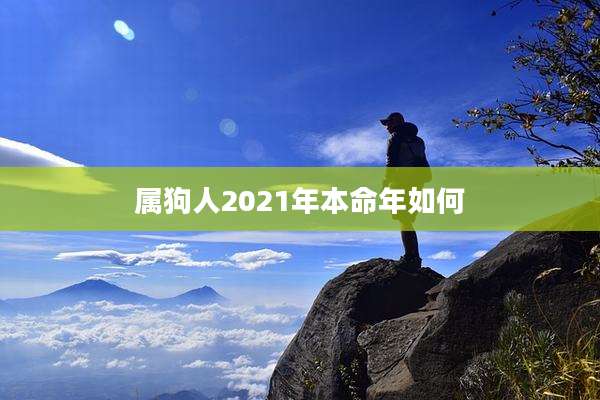 属狗人2021年本命年如何